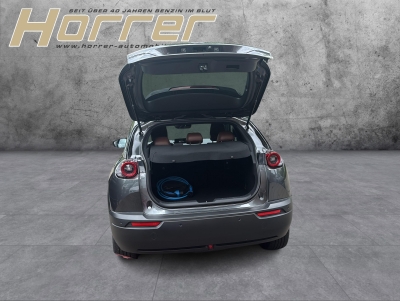 Mazda MX-30 Ad'vantage  e-SKYACTIV Garantie bis 2028