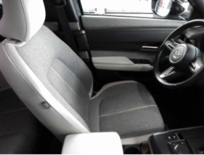 Mazda MX-30  e-SKYACTIV Ad'vantage ACC HUD Navi
 LED