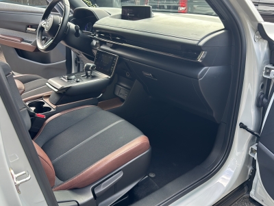 Mazda MX-30 AD'VANTAGE e-SKYACTIV ACC HUD RFK Navi LED