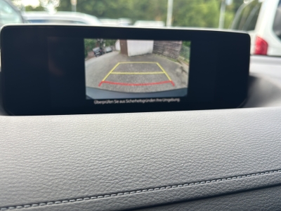 Mazda MX-30 AD'VANTAGE e-SKYACTIV ACC HUD RFK Navi LED