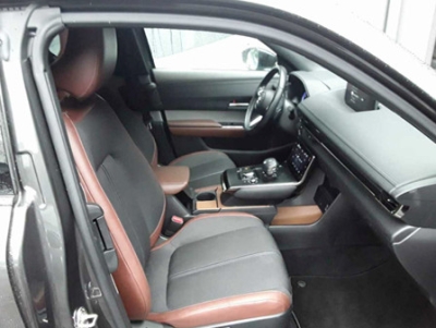 Mazda MX-30 AD'VANTAGE e-SKYACTIV ACC HUD RFK Navi LED