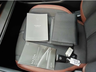 Mazda MX-30 e-SKYACTIV  EV ACC HUD Navi LED