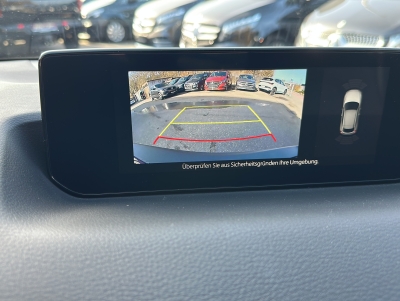 Mazda MX-30 e-SKYACTIV EV PRIME-Line ACC HUD Navi LED