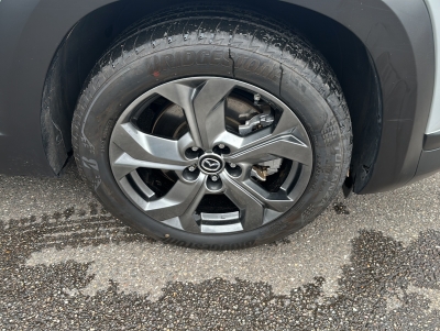 Mazda MX-30 EV  e-SKYACTIV Ad'vantage ACC HUD Navi LED