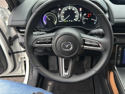 Mazda MX-30 EV 35,5 kWh e-SKYACTIV PRIME ACC HUD LED