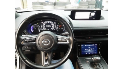 Mazda MX-30 EV  e-SKYACTIV Ad'vantage ACC HUD LED Navi