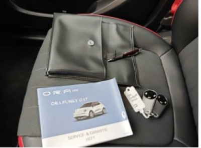 ora Funky Cat GT Pano W&auml;rmepumpe Massage