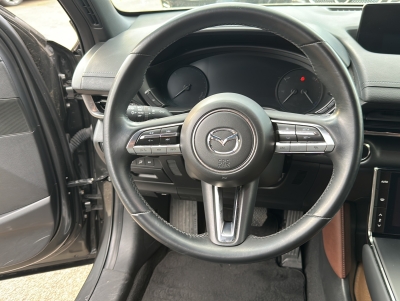 Mazda MX-30 EV 35,5 kWh e-SKYACTIV ACC HUD Memory LED