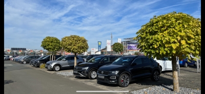 Skoda Octavia 1.0TSI / Clever / DSG / LED / NAVI /DAB 