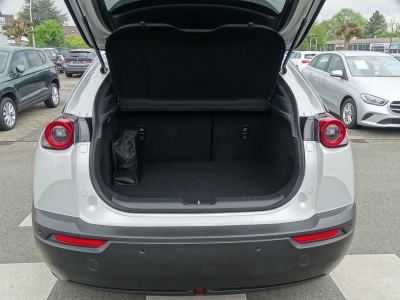 Mazda MX-30 35,5 kWh e / Skyactiv / NAVI / LED / DAB