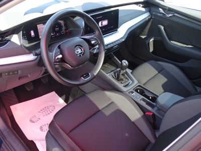 Skoda Octavia 2.0 TDI*LED*PANO*AHK*SHZG*NAVI*ACC*DAB*