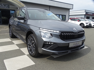 Skoda Kamiq 1.0 Selection /DSG / SMART-LINK/ R-KAMERA 