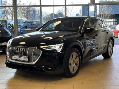 Audi e-tron VirtualCockpit ACC HeadUp LED 360°cam SHZ