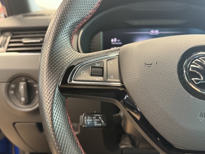 Skoda Octavia RS60*ACC*Alcantara*R.Cam*Winterpaket*DAB