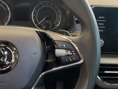 Skoda Kamiq Ambition*R.Cam*Pano*SHZ*CarPlay*LED*Tempo