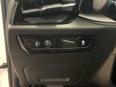 Kia Niro e-Niro*Vision*Cam*WinterP.*CarPlay *Leder*