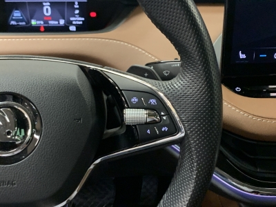 Skoda Enyaq 80 ecoSuite*ACC*LED*Pano*Leder*Memory*360°