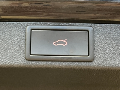 Skoda Octavia RS Plus*ACC*Pano*CAM*Ambiente*HUD*CANTON