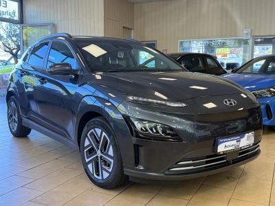 Hyundai Kona Elektro Trend*ACC*Krell*R.Cam*CarPlay*Winterp*LED