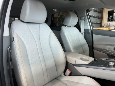 Hyundai NEXO Pano. KRELL 360°Cam ACC LED Navi SHZ PDC