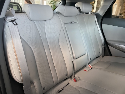 Hyundai NEXO ACC LED Navi R.Cam Leder BLIS Spurassist.