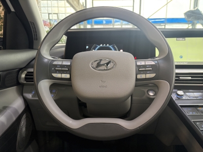 Hyundai NEXO ACC LED Navi Leder DAB+ Spurassist. BLIS 