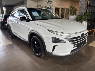 Hyundai NEXO ACC LED Navi Leder DAB+ Spurassist. BLIS 