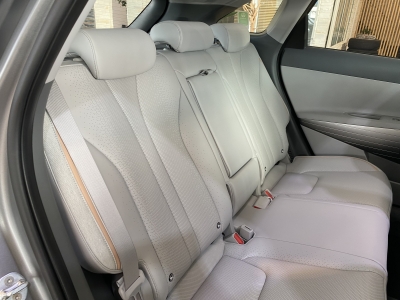 Hyundai NEXO ACC Navi R.Cam Leder DAB+ PDC SHZ DAB+ BLIS