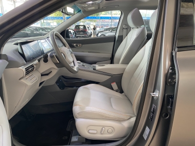 Hyundai NEXO ACC Navi R.Cam Leder DAB+ PDC SHZ DAB+ BLIS