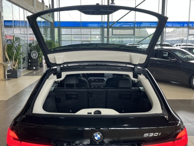 BMW 530 i*LuxuryLine*LaserLED*R-Cam*Leder*LiveCockp*
