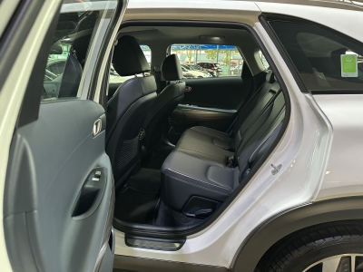 Hyundai NEXO LED R.Cam ACC Navi Leder SHZ BLIS DAB+