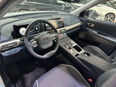 Hyundai NEXO LED R.Cam ACC Navi Leder SHZ BLIS DAB+