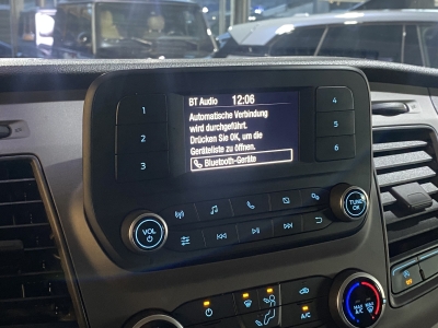 Ford Custom 340 Trend PDC Tempomat Klima DAB+ 3-Sitze