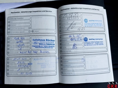 Ford Custom 340 Trend PDC Tempomat Klima DAB+ 3-Sitze