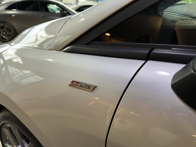 Ford Fiesta ST-Line LED DAB AppLink R.Cam Winter-Paket