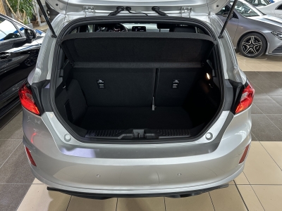 Ford Fiesta ST-Line LED DAB AppLink R.Cam Winter-Paket