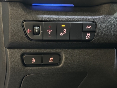 Kia Niro e-Niro Spirit JBL-Sound ACC Navi Leder SHZ