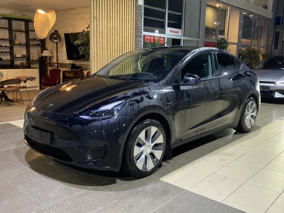 Tesla Model Y Pano Leder ACC Wärmepumpe LED Navi R.Cam