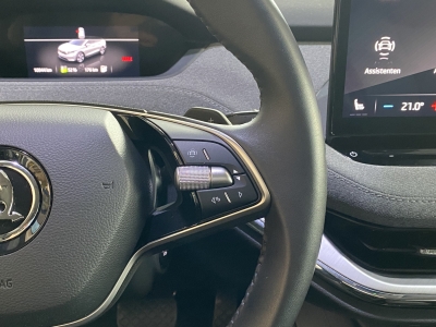 Skoda Enyaq 60 Loft dig.Cockpit Ambiente-Licht PDC LED