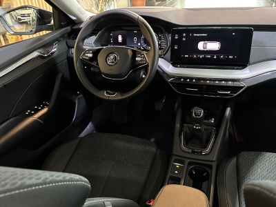 Skoda Octavia Style AHK LED dig.Cockpit PDC SHZ DAB+ 