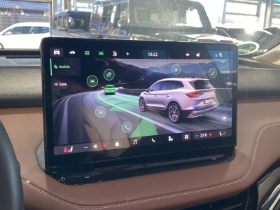 Skoda Enyaq 85 ecoSuite Pano. Leder Navi LED AHK 