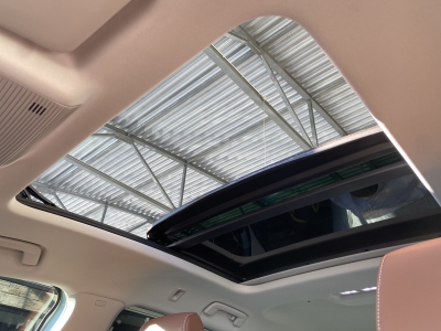 Skoda Enyaq 85 ecoSuite Pano. Leder Navi LED AHK 