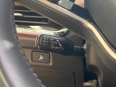 Skoda Enyaq 85 ecoSuite Pano. Leder Navi LED AHK 