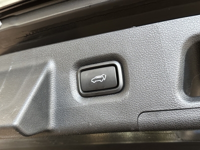 Hyundai SANTA FE Trend Hybrid 4WD R.Cam Leder LED Navi 