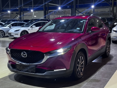 Mazda CX-30 Active Info ACC HUD Navi LED PDC DAB Klima