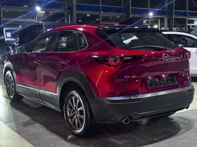 Mazda CX-30 Active Info ACC HUD Navi LED PDC DAB Klima