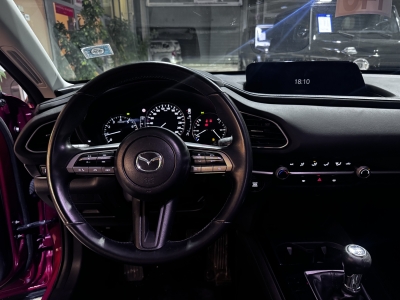 Mazda CX-30 Active Info ACC HUD Navi LED PDC DAB Klima