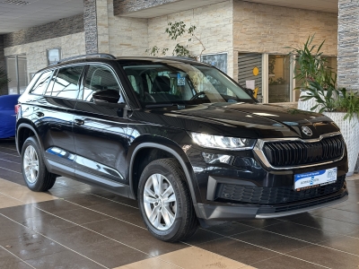 Skoda Kodiaq Ambition Business Amundsen Navi LED R.Cam