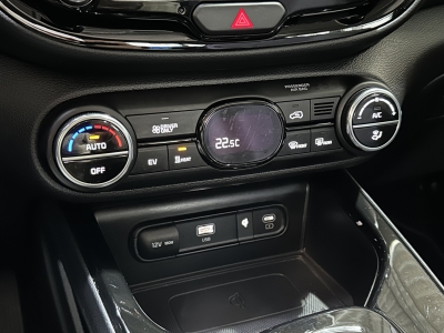 Kia Soul Inspiration*LED*SHZ*ACC*R.Cam*HUD*Wärmepump