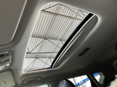 Kia Soul Inspiration*LED*SHZ*ACC*R.Cam*HUD*Wärmepump